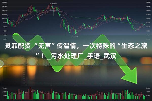 灵菲配资 “无声”传温情，一次特殊的“生态之旅”！_污水处理厂_手语_武汉
