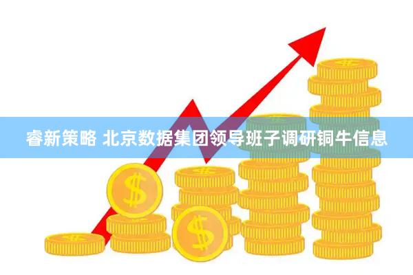 睿新策略 北京数据集团领导班子调研铜牛信息